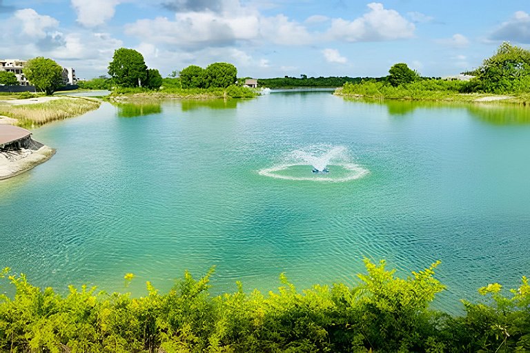 Style and elegance in Vista Cana